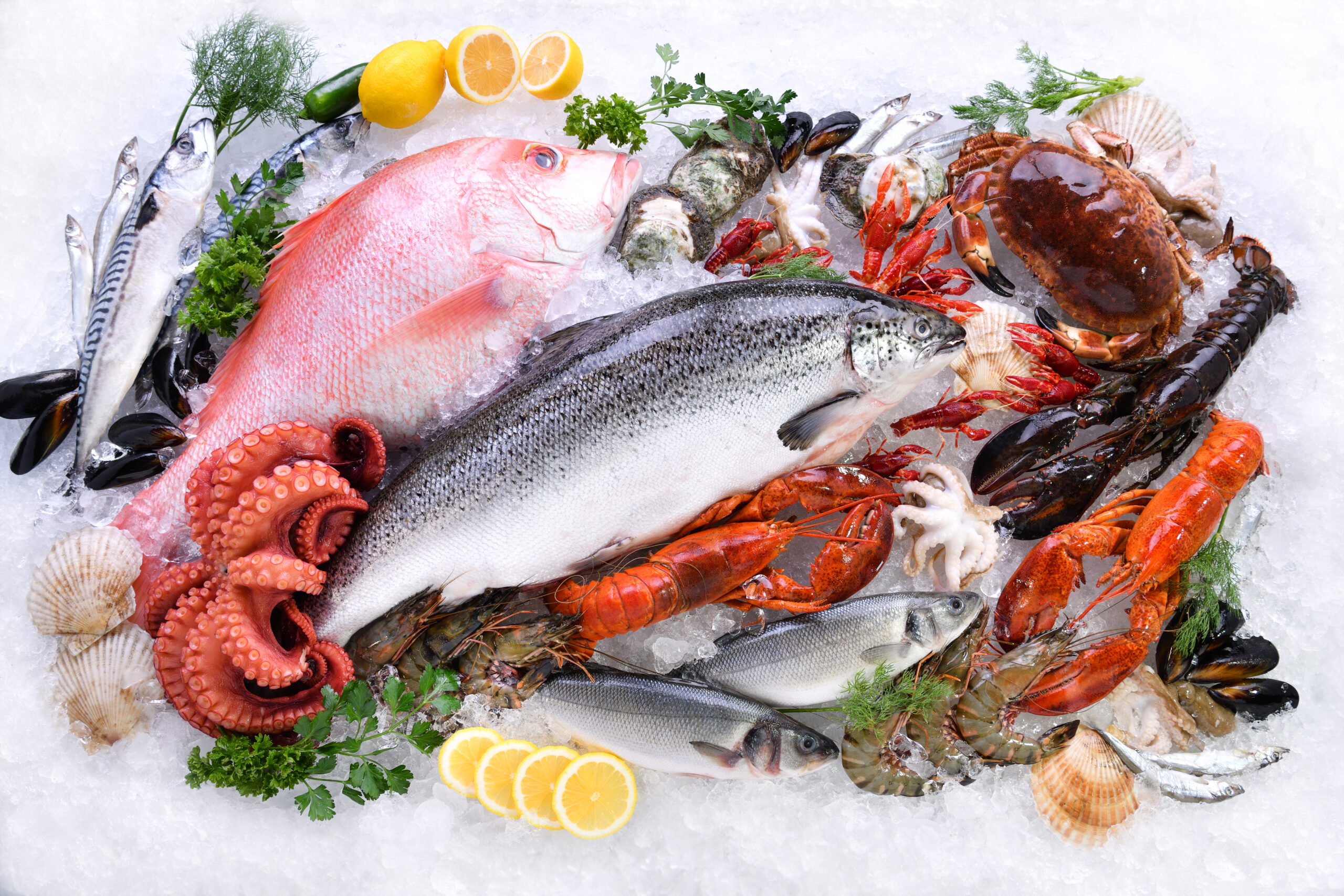 Fresh Fish Seafood Supplier For Restaurants North East Seafoods Ltd